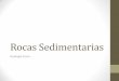 Rocas Sedimentarias - webapp.pucmm.edu.dowebapp.pucmm.edu.do/WebSISE/Estudiante/materias/201120122/SD-I… · Clasificación de las Rocas Sedimentarias Químicas Tabla 2. Clasificación