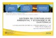 SISTEMA DE CONTABILIDAD AMBIENTAL Y …unstats.un.org/unsd/envaccounting/workshops/Rio2013/R-Guatemala.pdfAgua Subsuelo Pesca Energía Residuos y emisiones Tierra y ecosistemas Gastos