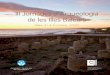 III Jornades d’Arqueologia de les Illes Balearsseccioarqueologia.cdlbalears.es/wp-content/uploads/2012/12/10... · Les intervencions d’Amics del Museu de Menorca: Edifici 1 