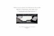 Obras para piano de Honorio Siccardi. Música argentina …bdigital.uncu.edu.ar/.../h.s.piano-escrito-conpartituras-chico.pdfObras para piano de Honorio Siccardi. Música argentina
