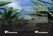 Costos de producción para el fruto de palma de aceite y el ...web.fedepalma.org/media/01-Palmas-38-2-2017_VF_sin_marcas.pdfMaría Alejandra González Arenas ... 107,359 ha and represented