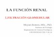 LA FUNCIÓN RENALsb5532df6cdb40aa1.jimcontent.com/download/version... ·  · 2011-11-23Autoregulación de la GFR y del RBF por ajuste ... angiotensina II y nervios simpáticos. Oxido