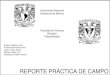 REPORTE PRÁCTICA DE CAMPO - icmyl.unam.mxpaleo/ReportePracticaCampoWeb.pdf · REPORTE PRÁCTICA DE CAMPO. Con este trabajo se pretende ilustrar el conocimiento adquirido durante