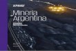 Minería Argentina - KPMG · Los minerales forman parte activa de nuestras vidas. ... en insumos al resto), y el valor agregado de producción, ... grupos de éstos) por Argentina