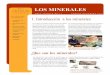 ¿Que son los minerales? - uacj.mx tecnicas/Minerales.pdf · Importancia de los minerales Minerales de Chihuahua Conclusión ... (platino, paladio, irio y osmio) y hierro (hierro