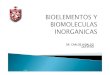 DR. CARLOS HIDALGO QUEVEDO - cpu.usmp.edu.pe  la ciencia biolgica encargada de estudiar los bioelementos, ... (secundarios) (0.9%) Microconstituyentes (oligoelementos) (0.1%)