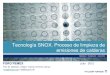 Tecnología SNOX. Proceso de limpieza deakbal.imp.mx/foros-ref/xviii/CIP/CIP2.pdf– SNOX : Combined WSA/DeNOx – CATOX/REGENOX: VOC removal. Qué es SNOX TM? SNOX TM – proceso