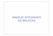 MANEJO INTEGRADO DE MALEZASecaths1.s3.amazonaws.com/terapeutica/Manejo.Integrad… ·  · 2011-08-01Plaga de importancia económica potencial para el área en peligro cuando aún