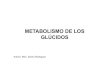 METABOLISMO DE LOS GLÚCIDOS - uvsfajardo.sld.cuuvsfajardo.sld.cu/sites/uvsfajardo.sld.cu/files/nueva_conf... · papel del metabolismo de los glucidos en la regulaciÓn de la glucemia