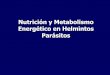 Nutrición y Metabolismo Energético en Helmintos Parásitos · Usado por la mayoría de los platelmintos Glúcidos son degradados a ... – Los platelmintos parásitos evolucionaron
