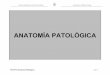 ANATOMÍA PATOLÓGICA - archivos.ujat.mx · Relacionar los factores externos: ambiente, socioculturales, demográficos en la etiología de las patologías. Competencias del perfil
