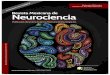 Revista Mexicana de Neurocienciarevmexneuroci.com/wp-content/uploads/2016/11/RevMexNeu-No-6-No… · suprimen el sueño No-MOR, y a la larga se puede desarrollar tolerancia al efecto