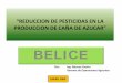BUENAS PRACTICAS EN CULTIVO DE CANA DE …d2ouvy59p0dg6k.cloudfront.net/downloads/guatemala_marcos_osorio.pdf“reduccion de pesticidas en la produccion de caÑa ... manejo del cultivo