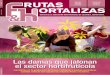 Las damas que jalonan el sector hortifrutícola190.144.45.108/archivos/Revista/Revista28.pdfpara la importación desde Colombia. Asohofrucol y el portal electrónico almejor.com, celebraron