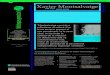 Xavier Montsalvatge - esmuc.cat de lectura... · 3—Xavier Montsalvatge|Guia de lectura Habanera, dins Romance d'amour [Enregistrament sonor] Narciso Yepes, guitarra Hamburg : Deutsche