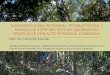 Diagnóstico del potencial, productividad y manejo de ... · diagnÓstico del potencial, productividad y manejo de especies nativas maderables tropicales con alto potencial comercial