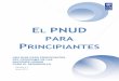 EL PNUD PARA P - sas.undp.orgsas.undp.org/documents/UNDP_for_beginners_es.pdf · El PNUD ayuda a los países a fortalecer los sistemas electorales y legislativos, mejorar el ... desafíos