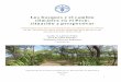 Los bosques y el cambio climático en el Perú: situación y …€¦ ·  · 2015-05-151 Los bosques y el cambio climático en el Perú: situación y perspectivas Documento base