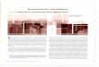 Diseminación tecnológica en la industria farmacéutica …revistas.bancomext.gob.mx/rce/magazines/70/4/RCE4.pdf · Diseminación tecnológica en la industria farmacéutica mexicana