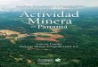Julio 2009 - Conservation Gateway ECONOMI… · de los Impactos de la Actividad Minera en Panamá. Caso de ... 6.1 Análisis financiero 18 6.2 Análisis económico 21 6.3 Análisis