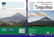 Los peligros volcánicos asociados con el Tungurahuahorizon.documentation.ird.fr/exl-doc/.../divers11-12/010036187.pdf · cionado (ver el Preámbulo en las siguientes páginas), 