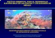 POLÍTICA AMBIENTAL PARA EL DESARROLLO … DIAZ DE LE… · Celebración a los mares Patrimonio para el futuro Corales blandos y antias anaranjadas. Christopher Newbert POLÍTICA