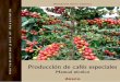 Producción de cafés especiales - infocafes.cominfocafes.com/portal/wp-content/uploads/2016/01/manual-cafe_selva... · Manual técnico Programa Selva Central ... Plantaciones / Café