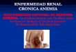 XVIII CONGRESO NACIONAL DE MEDICINA INTERNA. … renal anemia.pdf ·  · 2011-08-07Nefritis interticial. Daño Renal y progresión 