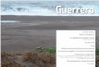 Guerrero - INECOL€¦ ·  · 2015-06-09calan bahías con playas y dunas entre salientes rocosas. Pertenece a una de las dos ... Las dunas costeras y acantilados de Guerrero son