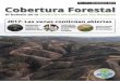 Cobertura Forestal: El boletín de la Coalición Mundial por los …globalforestcoalition.org/wp-content/uploads/2017/12/forestcover... · Bienvenidos al número 54 de Cobertura Forestal,