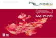 JALISCO - Repositorio CIDE: Página de inicio estadístico del estado de Jalisco ... cas que permitan identificar aspectos e indicadores claves de la actividad ... los gobiernos estatales