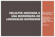 CELULITIS ASOCIADA A Drs. Lorena de la UNA ... - fetoc.es febrero 14/Loxoceles reclusa... · caso clÍnico - antecedentes personales - motivo de consulta - evoluciÓn revisiÓn bibliogrÁfica