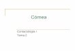 LCRPG y astigmatismo - alojamientos.uva.es · Córnea María J. González García 2 Objetivos Enumerar las dimensiones de la córnea
