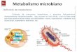 Metabolismo microbiano · Definición de metabolismo: . ... Oxidación incompleta de la glucosa por glucólisis Etapa I: ... Fuentes de carbohidratos