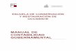 MANUAL DE CONTABILIDAD GUBERNAMENTAL · Los requisitos indispensables que deben reunir la información contable y presupuestal en el ámbito ... Gubernamental, el Marco ... el Plan