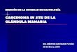 REUNIÓN DE LA SOCIEDAD DE MASTOLOGÍA CARCINOMA IN SITU DE ...smri.org.mx/memorias/rad2010/platicas/69.pdf · Otras Variantes (raras) ... Tipo de carcinoma ductal in situ 2. Grado