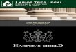 Larios Tres Legal, S.L.P.lariostreslegal.com/wp-content/uploads/LariosTresLegalEsp.pdf · previo en materia de delitos económico-societarios y defensa legal en procedimientos penales