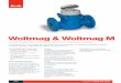 Woltmag & Woltmag M - itron.com Product Portfolio/Woltmag M ES... · monitorizar el contador, especialmente en lugares de difícil acceso. Valores de Producción ... Pérdida de carga