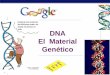 DNA El Material Genético Científicos El camino que se tuvo que recorrer para comprender que el DNA es el material genético T.H. Morgan (1908) Frederick Griffith (1928) Avery, McCarty
