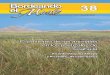 El pastoreo de los animales Coahuila - sema.gob.mx cuanto al suelo, la alta y frecuente concentración del ... ¿Qué se recomienda para lograr un manejo sustentable del pastizal?