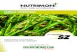 NOTAS POSITIVAS - monomeros.comnotas.pdfDeficiencia de azufre en arroz (IPNI) Deficiencia de azufre en maíz (IPNI) El azufre contribuye al desarrollo de la planta y al mantenimiento
