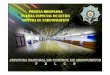 POLICIA BOLIVIANA FUERZA ESPECIAL DE LUCHA …clacsec.lima.icao.int/Reuniones/2016/Sem-CLAC/Presentaciones/25oct/...•el aeropuerto internacional de viru viru ubicado en la ciudad