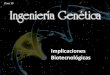 Implicaciones Biotecnológicas - uma.es€¦ · ARROZ DORADO con beta caroteno de genes de narciso y de Erwinia uredovora, pigmentos que se transforman en pro- vitamina A al ser ingeridos