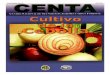 Guia cebolla 2003 - MAGsimag.mag.gob.sv/uploads/pdf/2014120114434.pdf · de hortalizas, se han dedicado muchos esfuerzos; y en el cultivo de CEBOLLA, ... El Salvador por su posición