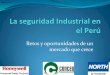 El mercado Peruano - USMPusmp.edu.pe/vision2011/exposiciones/20.La seguridad Industrial en... · internacionales en temas de seguridad industrial . Evolución de las Normas