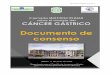 Bilbao, 11 de junio de 2.009 Organizado por el Comité de ... consenso Ca gástrico (jun-10) 7 22. En el estudio de extensión del cáncer gástrico, la Ecoendoscopia ha demostrado