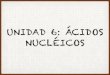 UNIDAD 6: ÁCIDOS NUCLÉICOS€¦ ·  · 2017-11-06• Modelo de doble hélice: ... • Cadenas ADN muy largas y deben de acoplarse al pequeño ... • También hay ADN en mitocondria