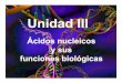 Unidad 3 Ac. nucleicos funciones biologicas€¦ ·  · 2012-11-20Watson y Crick (1953) propusieron el modelo de la doble hélice, ... Mitocondria. Cloroplasto ADN. Temperatura de