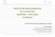 PROTECCIÓN MEDIOAMBIENTAL EN LA INDUSTRIA …ppcac.org/Panel 1-D-Valeria Muriel Dosal-Spanish.pdf · costos, de acuerdo con la ... 29.7 Millones de pesos de beneficios económicos