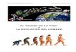 EL ORIGEN DE LA VIDA Y LA EVOLUCIÓN DEL HOMBRE ·  EL ORIGEN. LA PREHISTORIA EL ORIGEN DE LA VIDA Y LA EVOLUCIÓN DEL HOMBRE